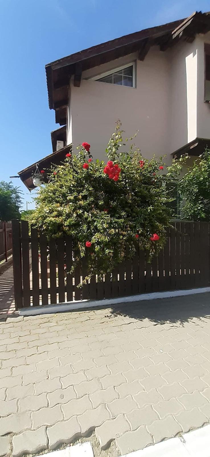 Casa David